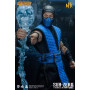 Фигурка из игры Mortal Kombat XI - Саб-Зиро (Sub-Zero) 