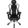 AKRacing ProX Black-White