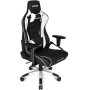 AKRacing ProX Black-White