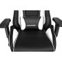 AKRacing ProX Black-White