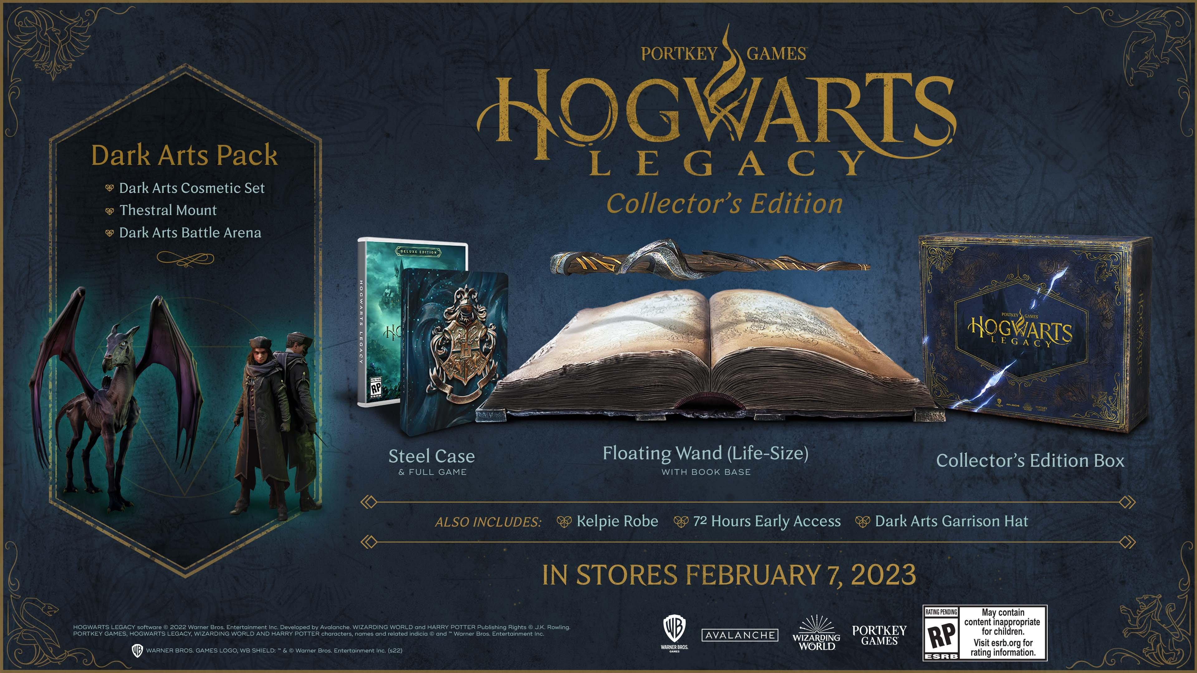 Hogwarts legacy deluxe edition ps5 купить фото 17